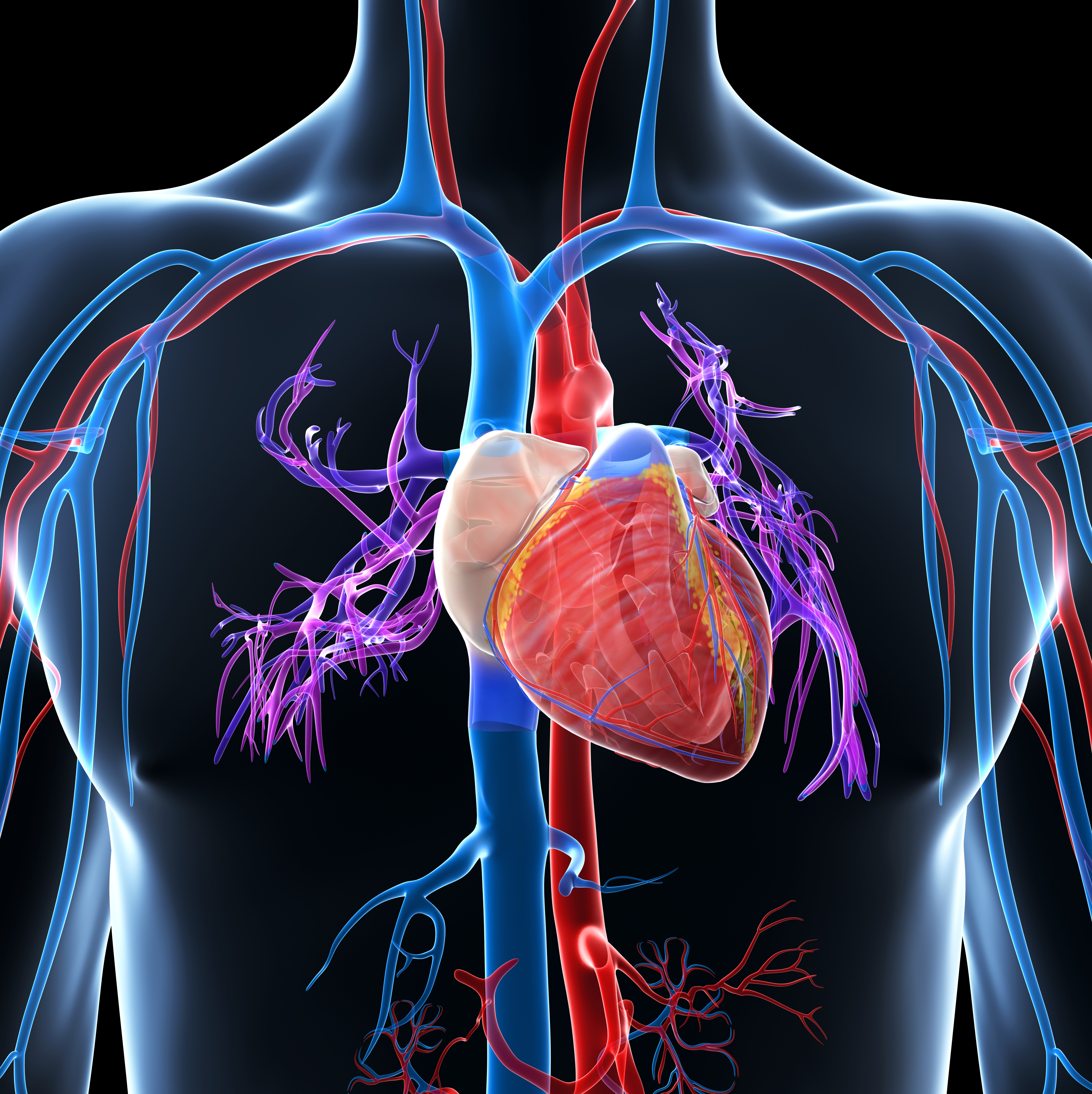 Сердечный способный. Болезни сердечно-сосудистой системы. Заболеваний сердца и сердечно-сосудистой системы. Сосудистые заболевания сердца.